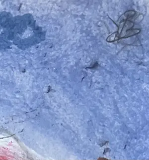 Paul Louis van den Bergh - Acryl op papier - Gesigneerd. kopen? Bied vanaf 100!