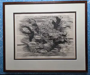 Hans van Dokkum - Vissen. Onderwater landschap. kopen? Bied vanaf 69!