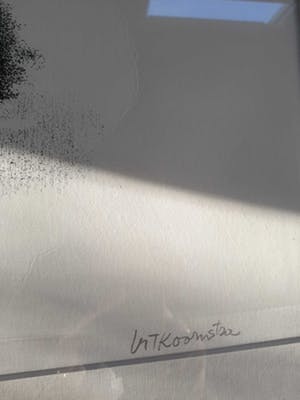 Metten Koornstra - figuur bij huis kopen? Bied vanaf 25!