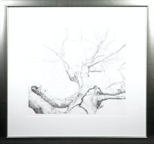 Reinder Homan - Ets, Beuk I - Ingelijst kopen? Bied vanaf 60!