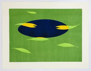 Judith Stolker - - vijver - kopen? Bied vanaf 45!