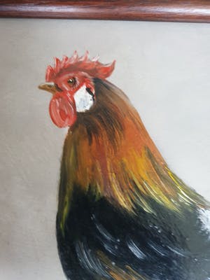 Henk Poeder - Phoenix cock kopen? Bied vanaf 35!