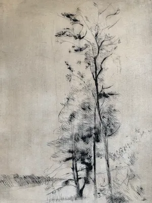 Reino Partanen - twee bomen in kaal landschap kopen? Bied vanaf 15!