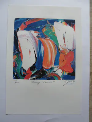 JAS - Zeefdruk, Orange Favoriete kopen? Bied vanaf 30!