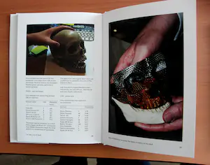 Damien Hirst - boek: For the love of God - 2007 kopen? Bied vanaf 30!