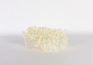 Theo Jansen - Strandbeest kaufen? Bieten Sie von 50!
