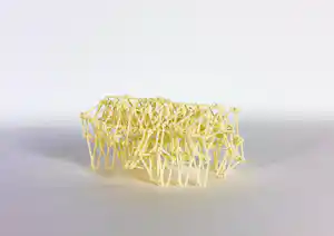 Theo Jansen - Strandbeest verkocht voor € 100!