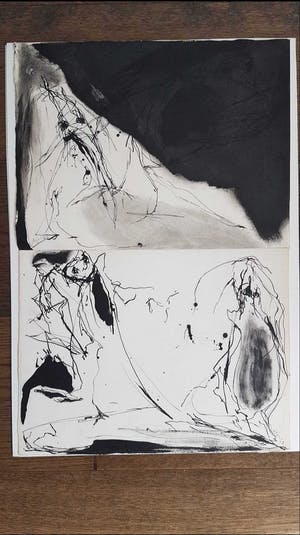 Jacqueline de Jong - Twee handgesigneerde tekeningen kopen? Bied vanaf 350!