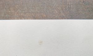 Leonor Fini - La fille Médiévale kopen? Bied vanaf 30!