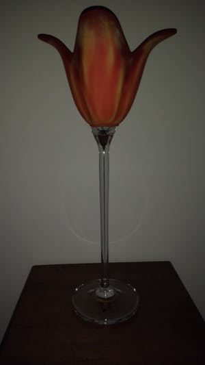 Niet of onleesbaar gesigneerd - GLAZEN 'BLOEIENDE' TULP kopen? Bied vanaf 1!