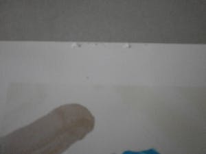 Karel Appel - ten [6] bulldog kopen? Bied vanaf 1!