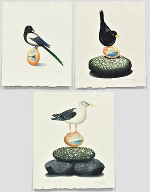 Niet of onleesbaar gesigneerd - Den Magpie , Den Merel & Den Fiskmås kopen? Bied vanaf 1!