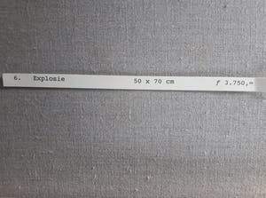 Huib ter Haar - "explosie". (oorspronkelijke prijs 3750 gulden) kopen? Bied vanaf 149!