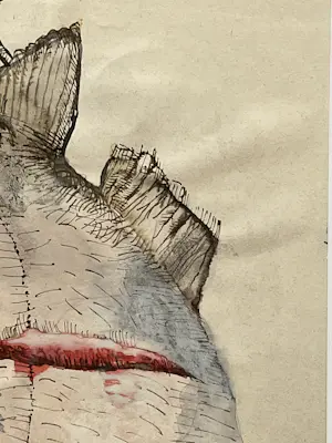 Jenny Dalenoord - VERSE VIS kopen? Bied vanaf 80!