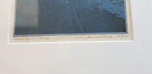 Siemen Dijkstra - Winter-weg kopen? Bied vanaf 200!