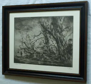 Wim Steijn - Ingelijste ets , Bos bij Haarlem – 1974 – Lijst, 37½ x 45½ cm. kopen? Bied vanaf 60!