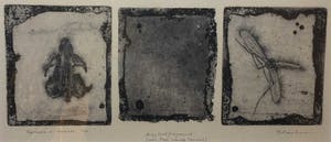 Hans Blanken - C3820-2, ets, dagboekfragment FL Pannekoek kopen? Bied vanaf 50!