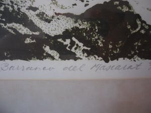 Antony van Lieshout - Litho. titel, "Baranco del Muscarat". kopen? Bied vanaf 30!