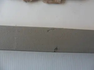 Carla Raadsveld - Zeefdruk, zonder titel III kopen? Bied vanaf 30!