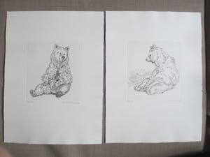 Niet of onleesbaar gesigneerd - Twee etsen, gesigneerd kopen? Bied vanaf 1!