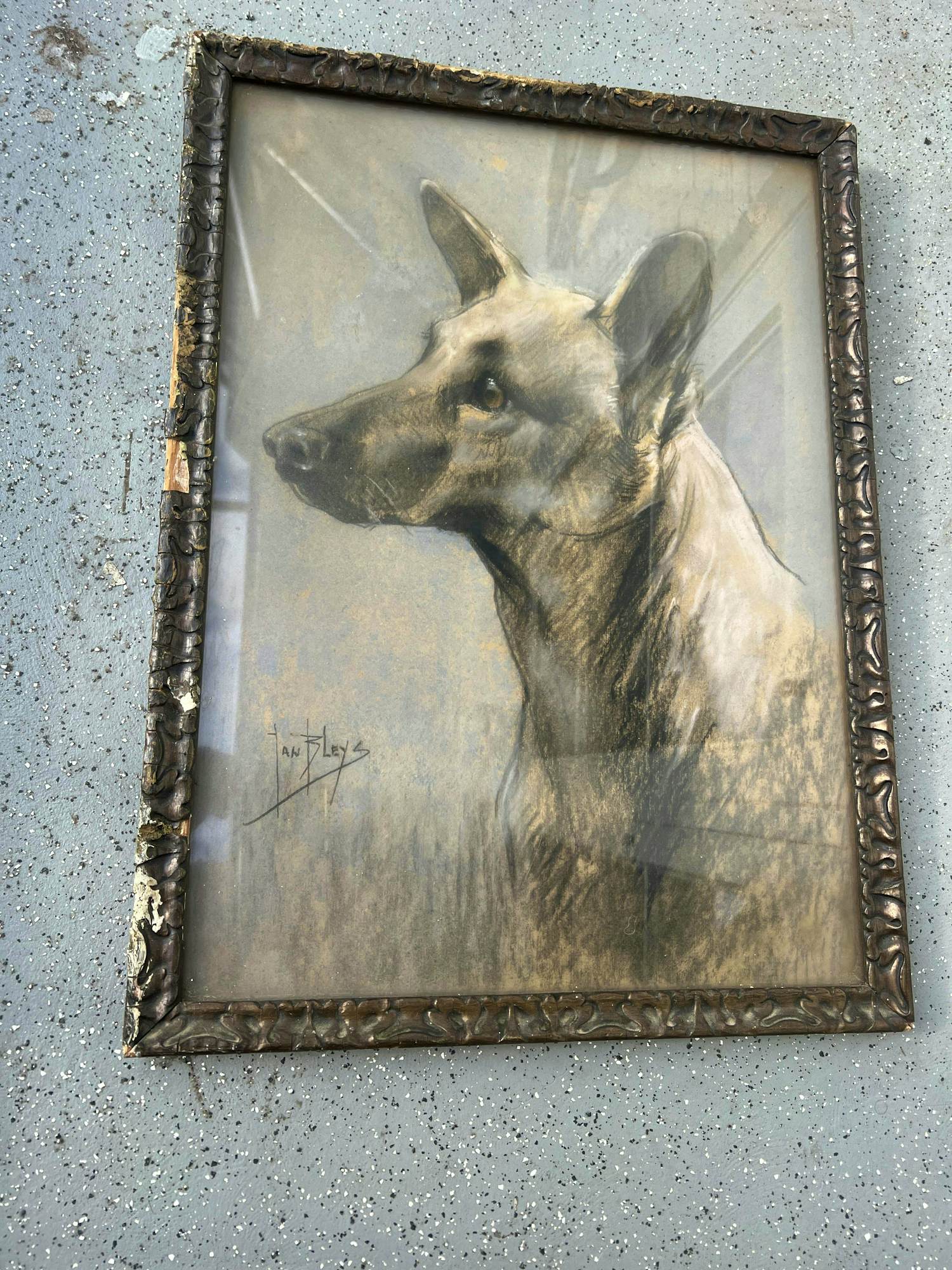Buy Jan Bleys - Afbeelding hond? Bid from 100!