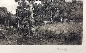 C.L. Dake - ets: landschap kopen? Bied vanaf 49!