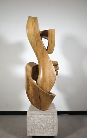 Niet of onleesbaar gesigneerd - Groot organisch gevormd houten sculptuur (Zwaar!) kopen? Bied vanaf 1!