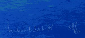 Henk van der Vet - Zeefdruk, Vlucht kopen? Bied vanaf 1!