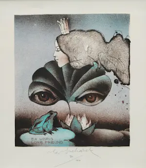 Vladimir Suchanek - lot van 4 stuks ingelijste gesigneerde litho’s kopen? Bied vanaf 79!