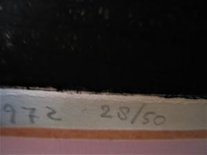 Guillaume Le Roy - Lyrisch Abstracte meerkleurige houtsnede (groot!) Kleine Oplage ! kopen? Bied vanaf 20!