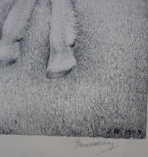 Jan Wittenberg - litho: geitje kopen? Bied vanaf 125!