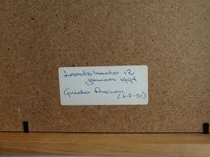 Guido Ancion - Ingelijste zeefdruk , “Naakte vrouwen” – Loodskado 1994 kopen? Bied vanaf 35!