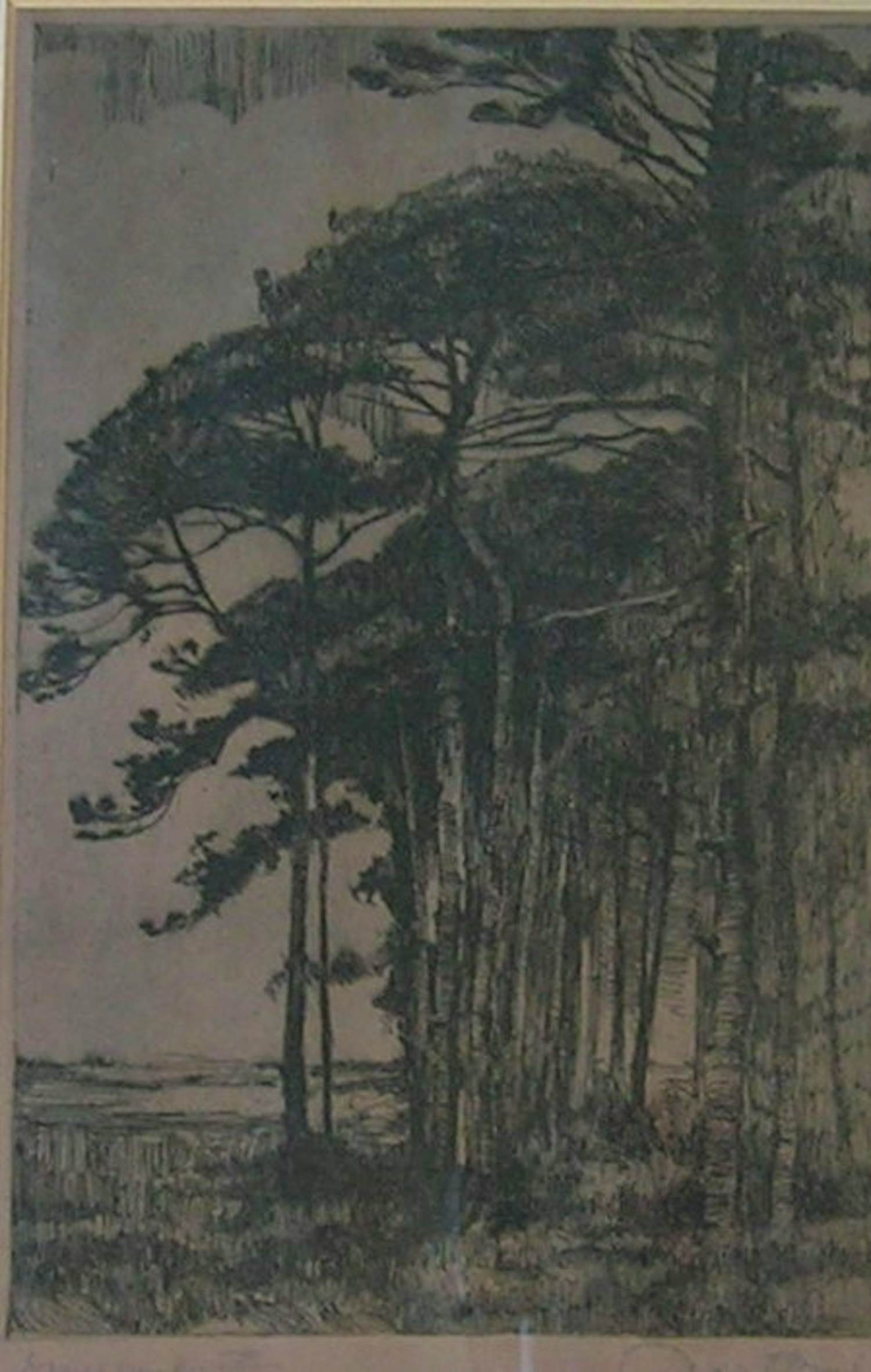 Aart Bijl - Bosrand met dennen verkocht voor € 35!