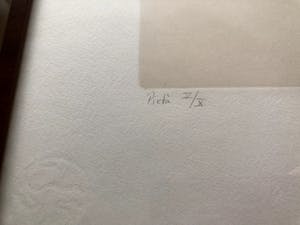 Paul van Dongen - Ets PIETA uit 2001- met het boek Pieta. kopen? Bied vanaf 150!