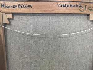 Nico van Bekkum - Gineraria's kopen? Bied vanaf 10!