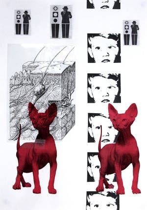 Ad van Riel - The Human Nature (18) kopen? Bied vanaf 40!