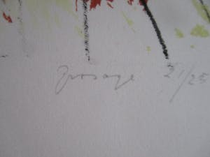 Theo Elfrink - Ingelijste litho " Grosage" kopen? Bied vanaf 45!