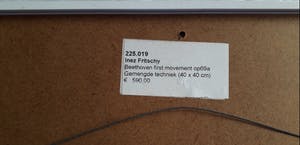 Inez Fritschy - Beethoven first movement opus 69 A kopen? Bied vanaf 75!