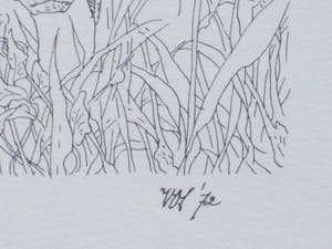 Peter Vos - Zelfportret voor Beestenboom - Litho kopen? Bied vanaf 60!