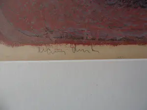 Jan Bezemer - Kleurenlitho: Roofvogel. kopen? Bied vanaf 40!