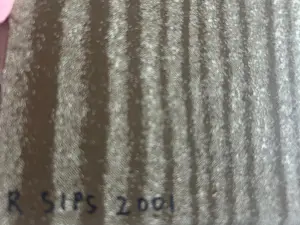 Roland Sips - Hallpiece kopen? Bied vanaf 100!