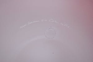 Corneille - kristallen schaal ‘Oiseaux’ – 2000 – oplage 8 ex. - Royal Leerdam kopen? Bied vanaf 850!