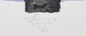 Thomas Hamann - Carborundum op geschept papier, Blank kopen? Bied vanaf 20!