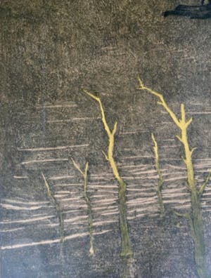 Chris Le Roy - Vogel; Valk kopen? Bied vanaf 10!