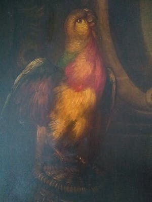 Niet of onleesbaar gesigneerd - Papegaai op een mand kopen? Bied vanaf 1!