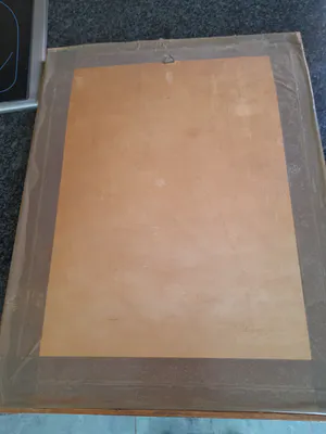 Rene De Lannoy - Natuur kopen? Bied vanaf 75!