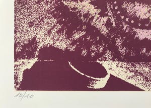 Wilfried Pas - Grote gesigneerde zeefdruk - 10/10 - Kleine oplage! - 1972 - Zelden aangeboden! kopen? Bied vanaf 65!