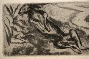 Jeanne Bieruma Oosting - Ets - De Haas en de Schildpad kopen? Bied vanaf 50!