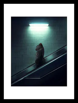 Mr Strange - De roltrap kopen? Bied vanaf 80!