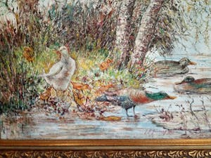 Hein Janning - Eendjes in /aan het water. kopen? Bied vanaf 40!